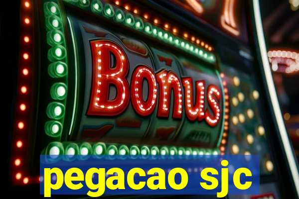 pegacao sjc